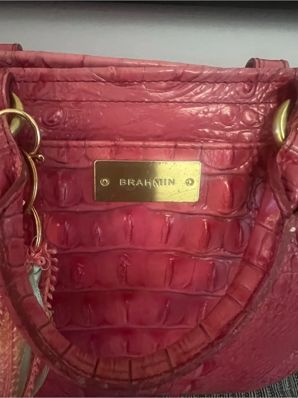 Brahmin Mini Asher Small Tote in Pink